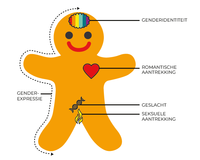 De genderkoekpersoon met beschrijvingen