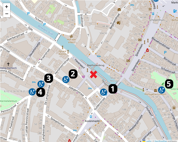Voorbehouden parkeerplaatsen voor personen met een handicap, op kaart