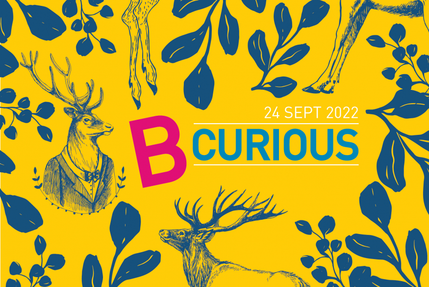 B Curious 2022 banner