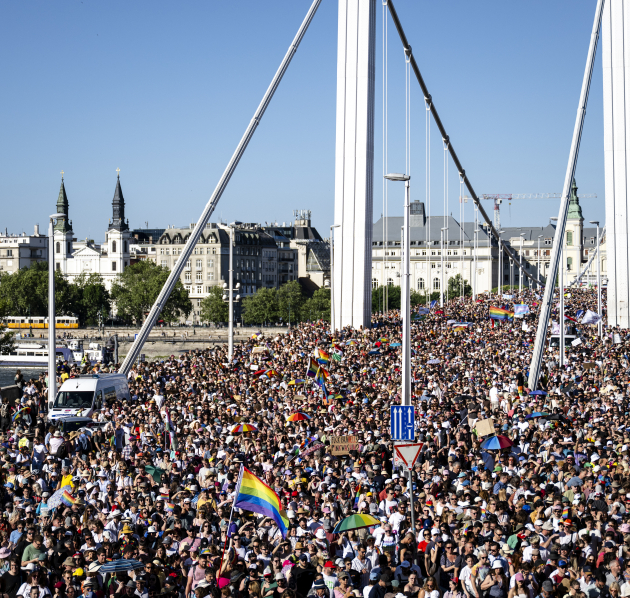 © Bob Reijnders Massa mensen op brug in Budapest