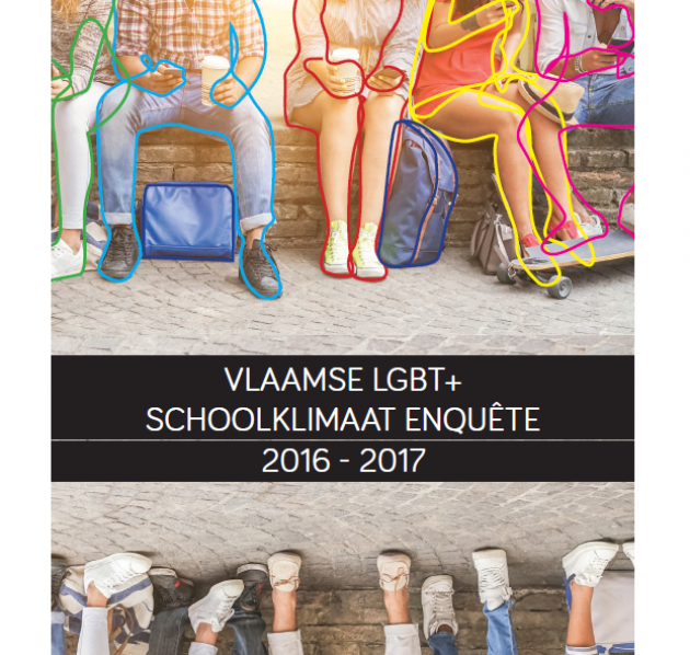 Vlaamse LGBT+ schoolklimaatenquête