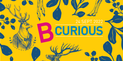 B Curious 2022 banner