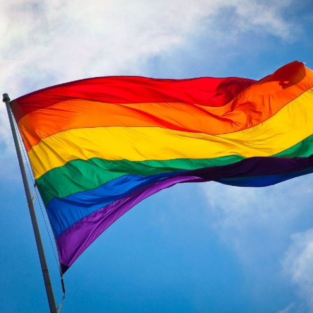 Regenboogvlag