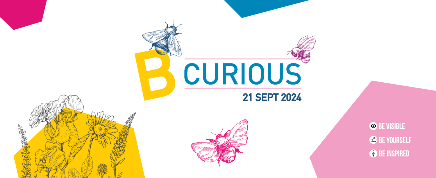 Websitebanner B Curious