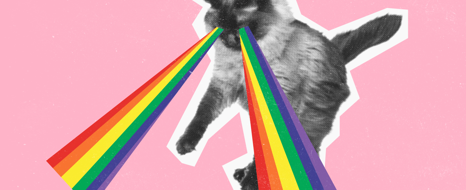 2026_projectmedewerker50jaar