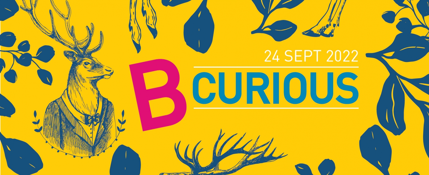 B Curious 2022 banner