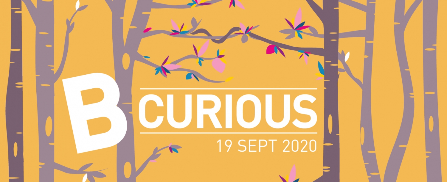 B Curious 2020 afbeelding bomen met bi+ en pan kleurige blaadjes