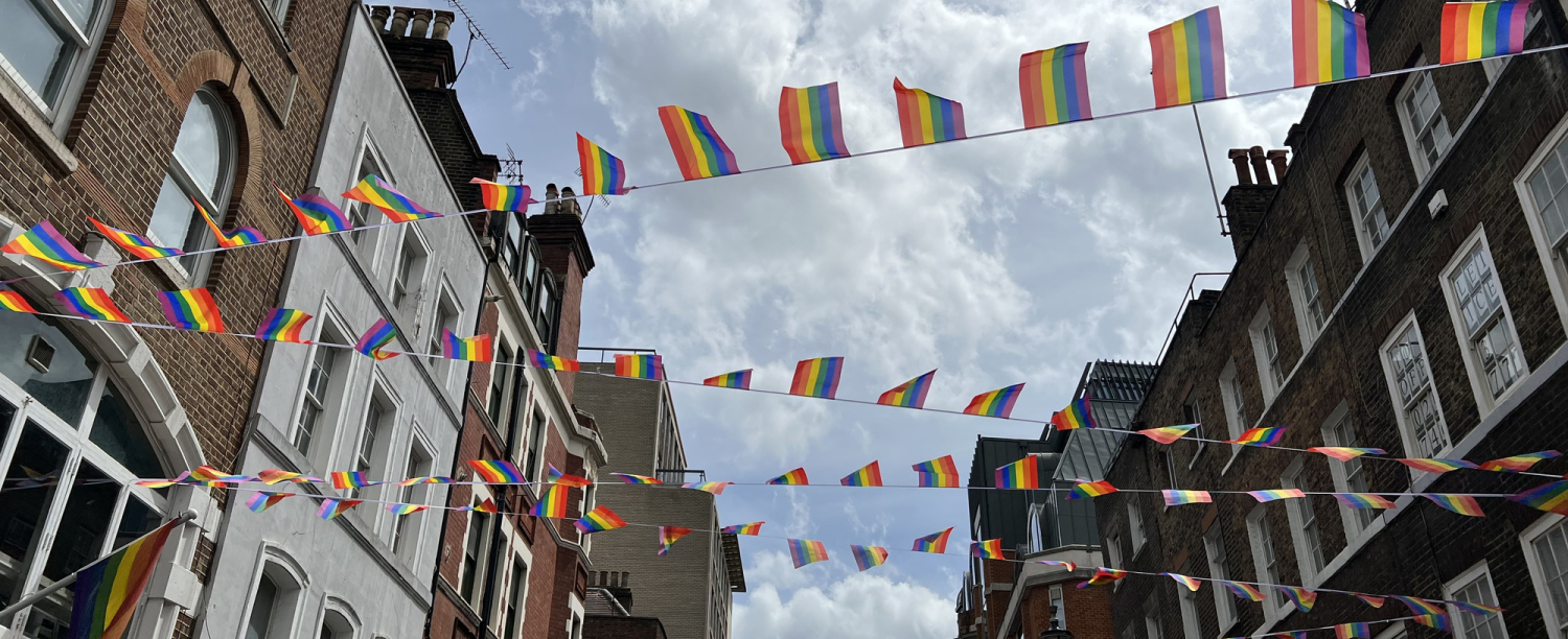 Straat met gebouwen aan beide kanten en regenboogvlaggetjes tussen de gebouwen