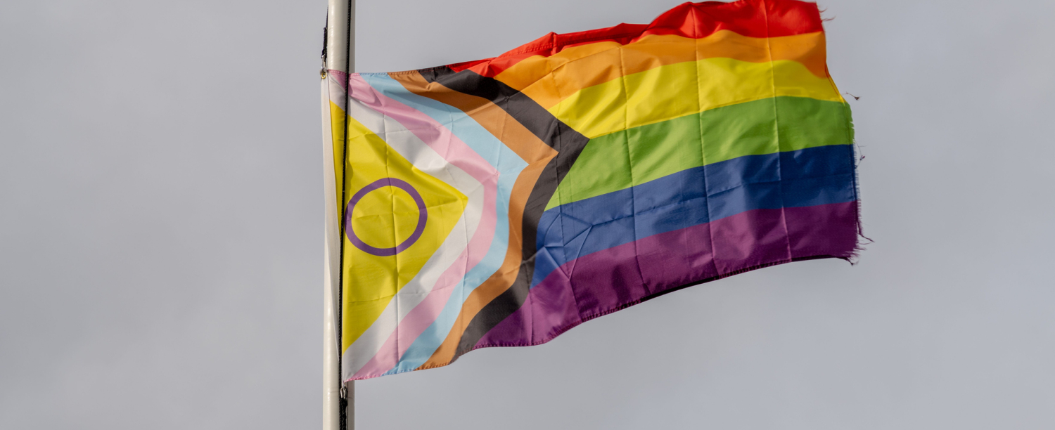 intersex progress pride vlag intersex progress pride vlag wapperend op een stok