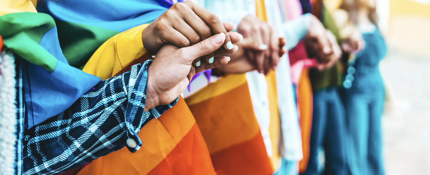 pride Groep mensen met pride vlaggen die handen vasthouden