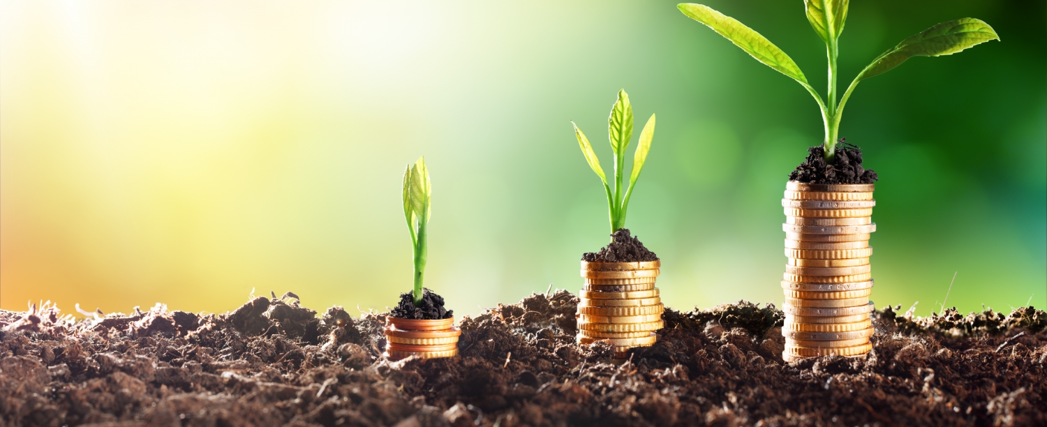 stapels van euro's met plantjes op