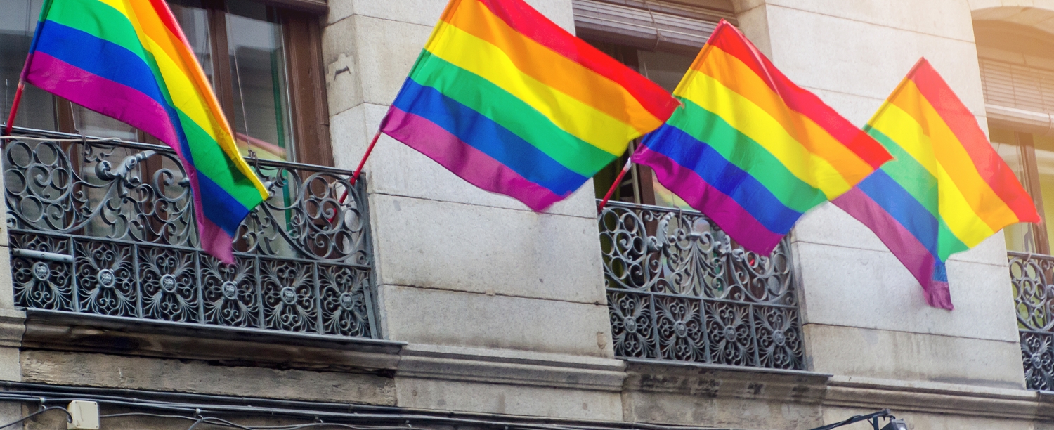 regenboogvlaggen aan gebouw vlaggen aan gebouw